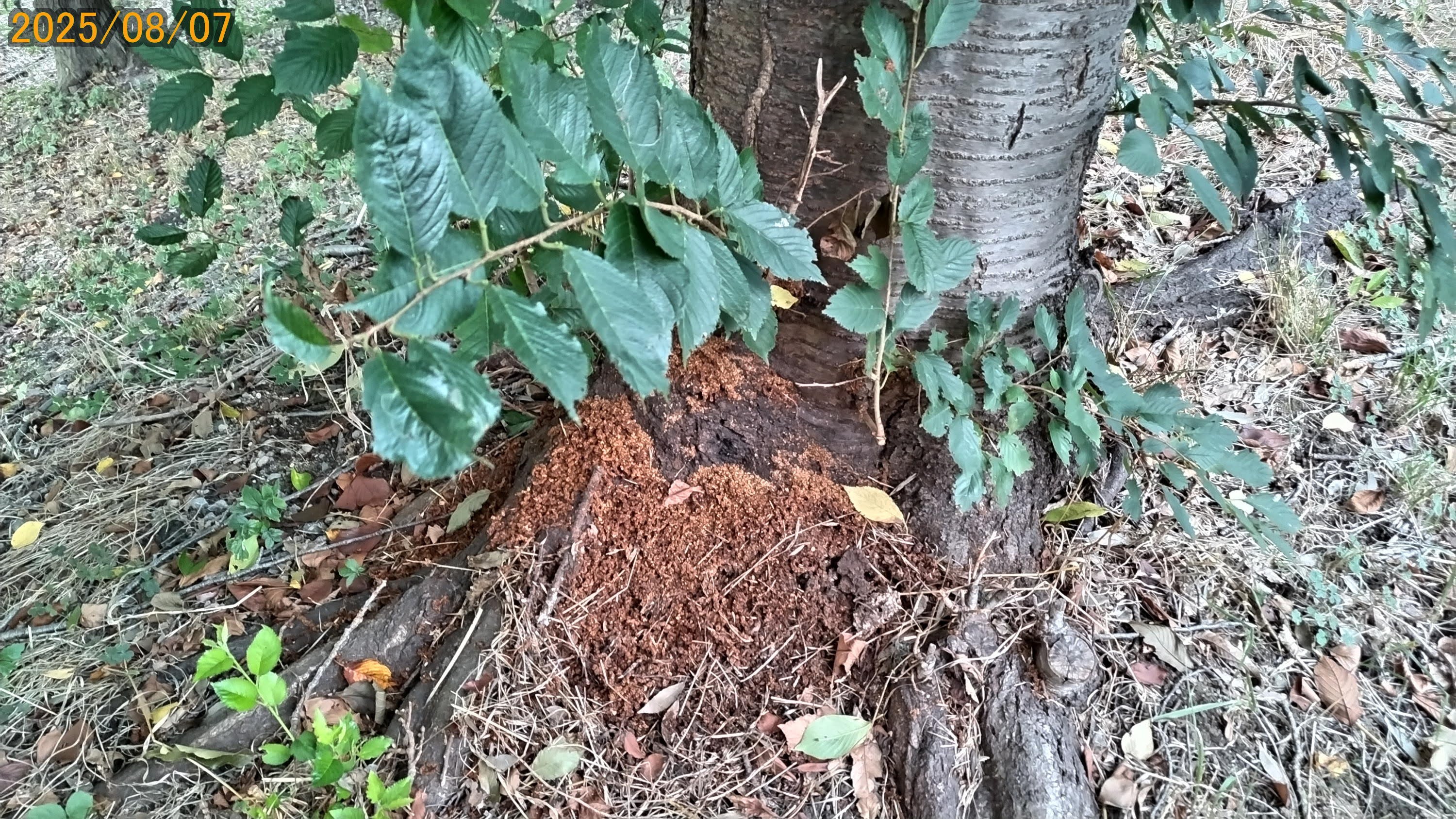 環境専門委員会