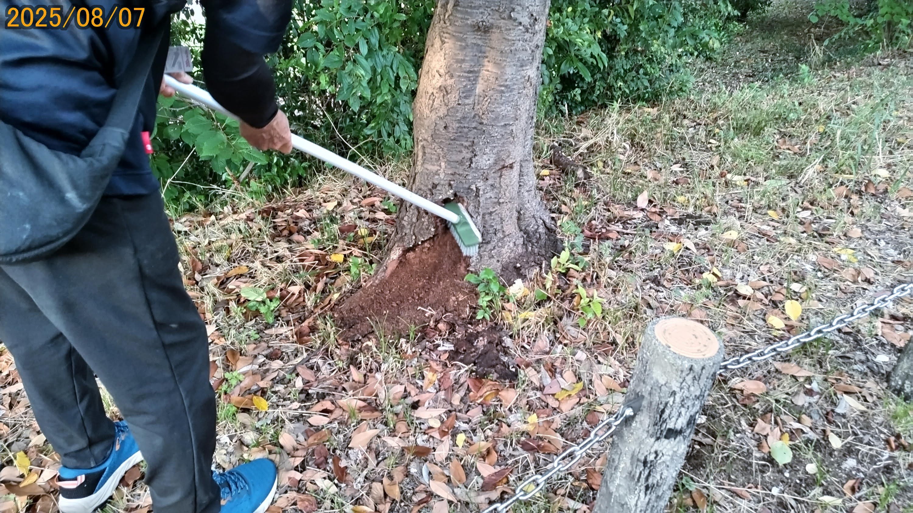 環境専門委員会