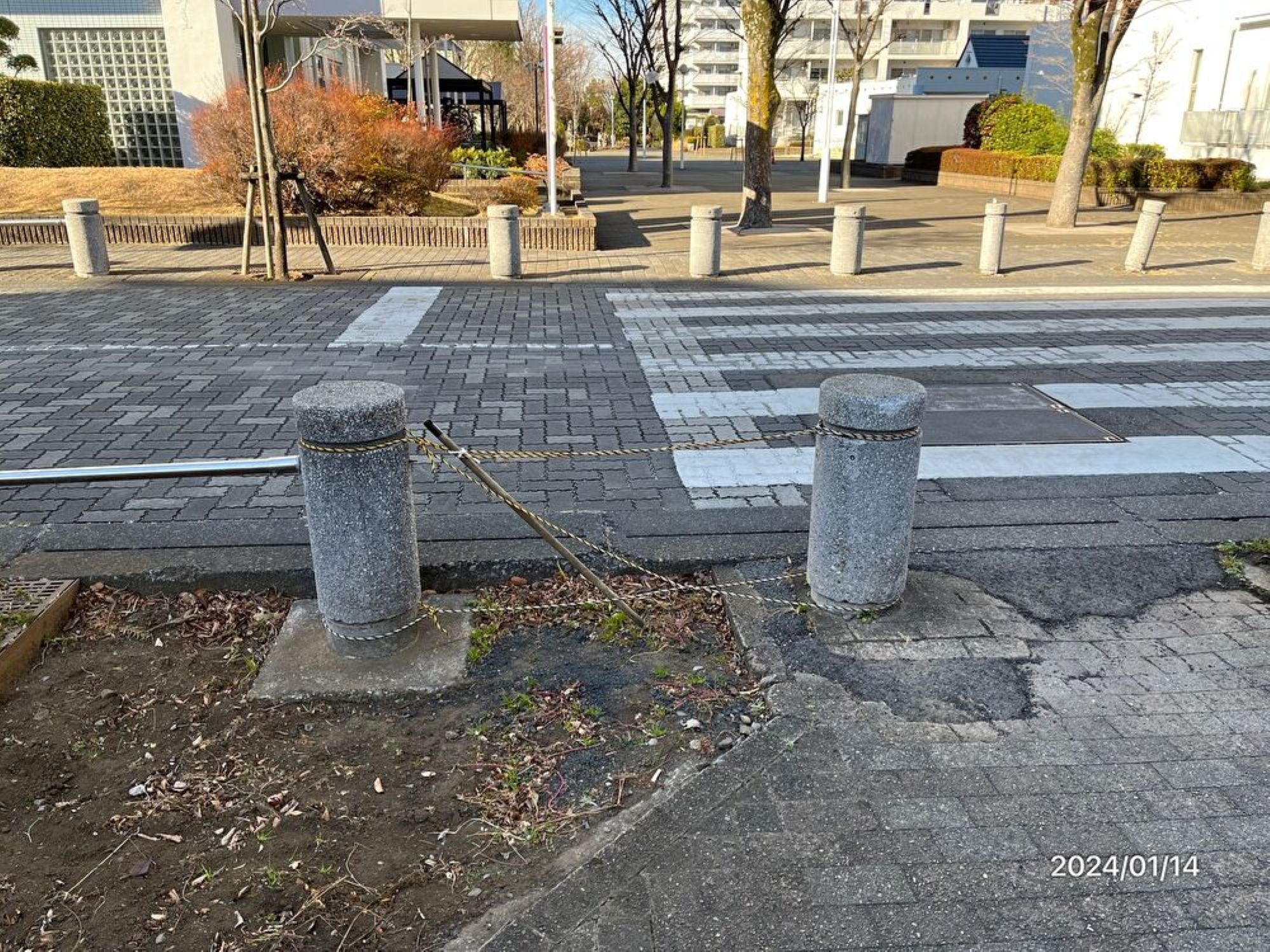 過去の活動内容