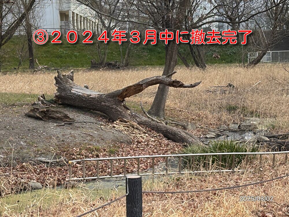 環境専門委員会