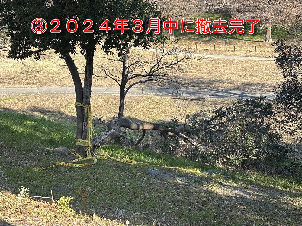 環境専門委員会