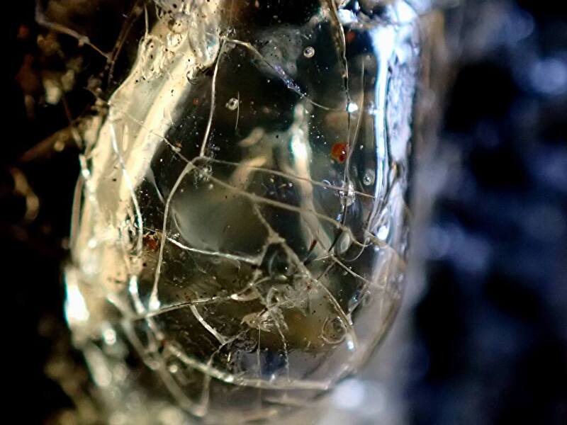 遊水地自然観察コーナー