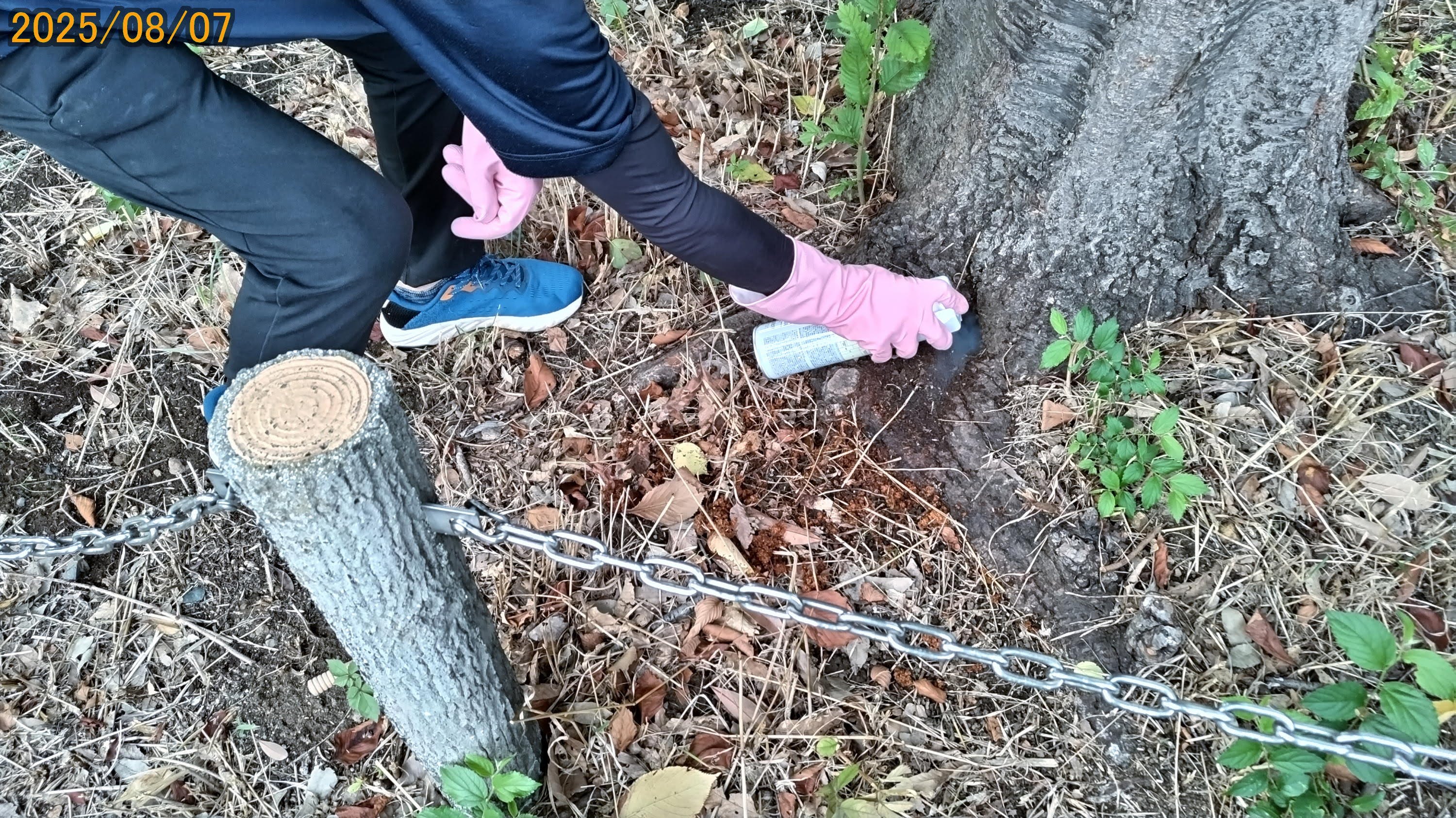 環境専門委員会