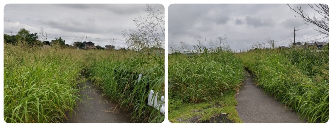 環境専門委員会