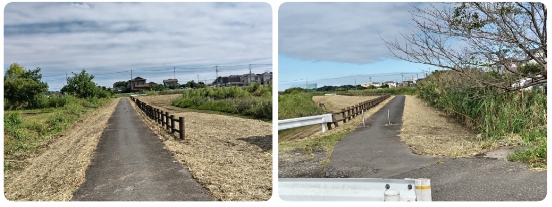 環境専門委員会